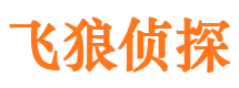 什邡市私家侦探